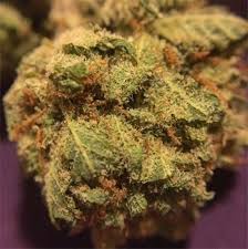 Weed ( jack herer) 120gs